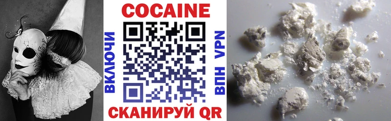 КОКАИН Fish Scale  Купить закладки  Новокубанск 