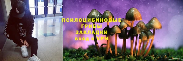 гидра Нязепетровск