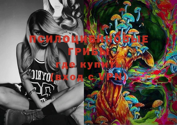 крисы Няндома