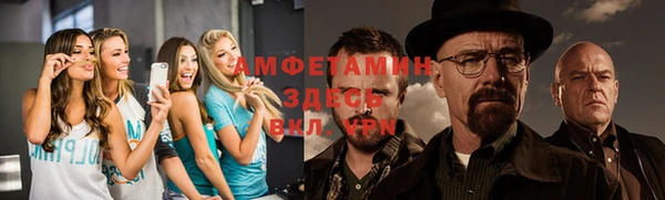 крисы Няндома
