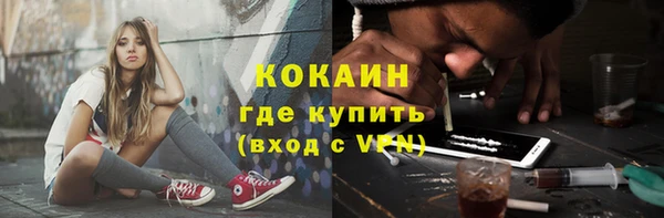 крисы Няндома