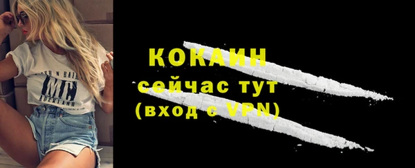 крисы Няндома