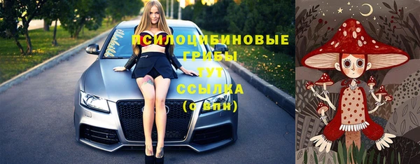 гидра Нязепетровск
