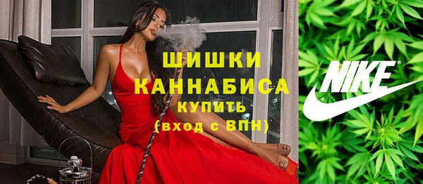 гидра Нязепетровск