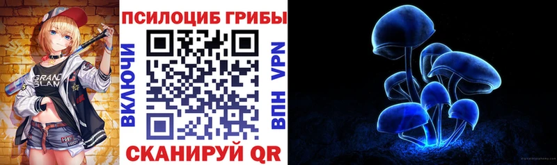 Купить закладки  Новокубанск  Галлюциногенные грибы Psilocybine cubensis 